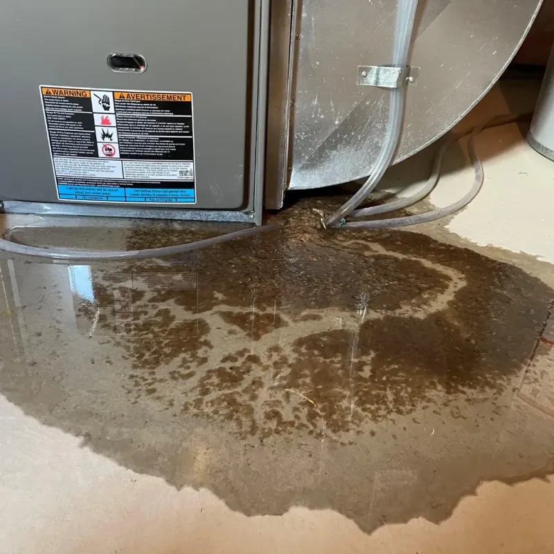 Appliance Leak Cleanup in Hana, HI