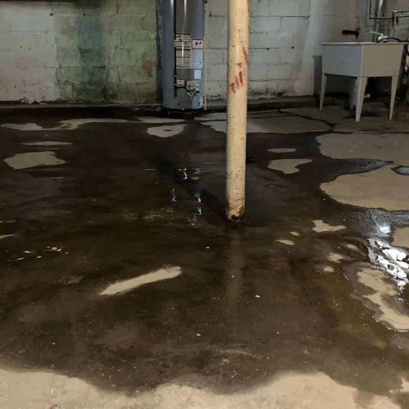 Emergency Water Extraction And Removal in Hana, HI